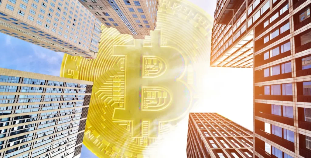 institutional bitcoin adoption
