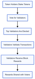 Flowchart diagram of Delegated Proof of Stake (DPoS), showing how token holders stake tokens, vote for validators, and receive rewards through delegation.