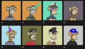 bored ape yacht club